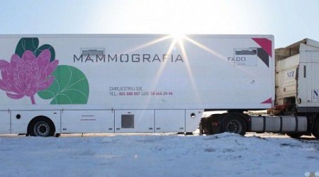 mammobus.2